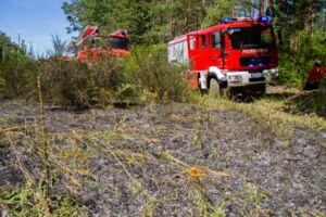 Böschungsbrand Klockow