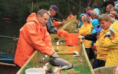 Abfischfest in Boek