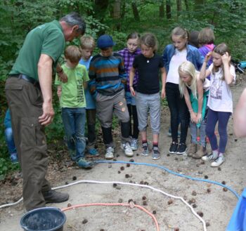 Peeneschule siegt bei Waldolympiade