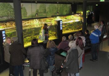 Ferienaktionstage zum Jubiläum Müritzeum