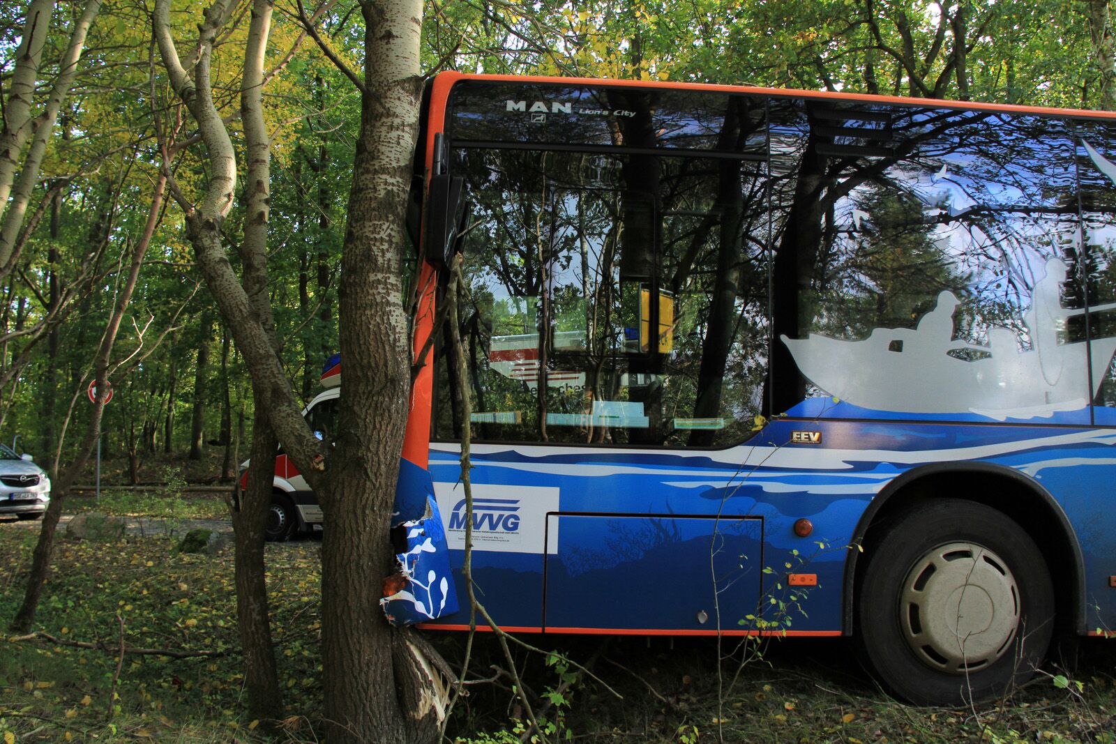 Nationalpark-Bus verunglückt in Speck