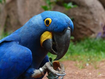 Öffnungszeiten Zoo Rostock