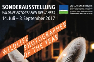 Wildlife Fotografie