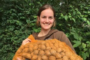 Bären in Stuer vor der Winterruhe