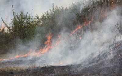 Flächenbrand bei Mirow