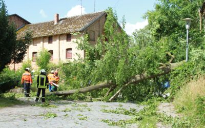 Feuerwehreinsatz Sturmschaden Kargow