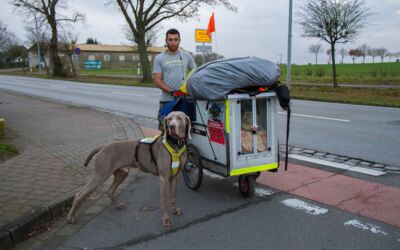 Italienischer Läufer in Waren (Müritz)