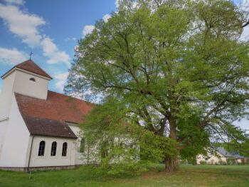 Kirchengemeinde Rechlin Vipperow