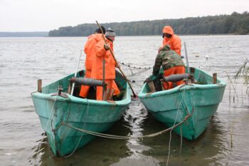 Fischzug in Alt Schwerin