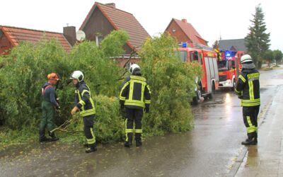 Feuerwehreinsätze Müritz