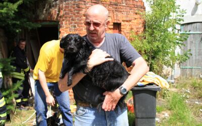 Feuerwehr rettet Hund