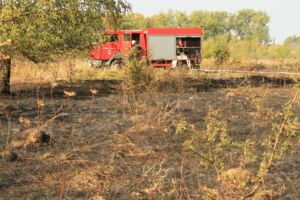 Freiwillige Feuerwehr Rechlin