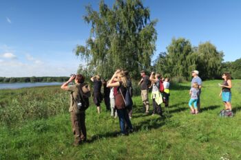 Führungen Nationalpark-Informationen und Ausstellungen Müritz-Nationalpark