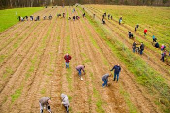 Klimawald Malchow