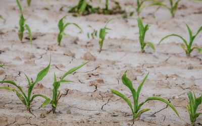 Ermittlung Wasser- und Stoffhaushalt Mecklenburgische Seenplatte