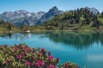 Urlaub in der Schweiz planen