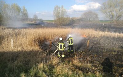 Einsatz Freiwillige Feuerwehr Waren (Müritz)