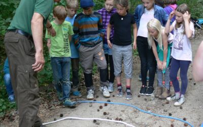 Peeneschule siegt bei Waldolympiade