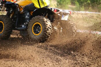 Schwerverletzter nach Wildunfall bei Röbel/Müritz