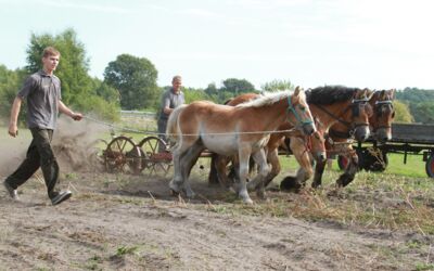 Veranstaltung Agroneum