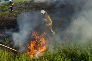 Flächenbrand bei Waren (Müritz)