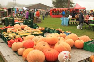 Kürbisfest Agroneum Alt Schwerin