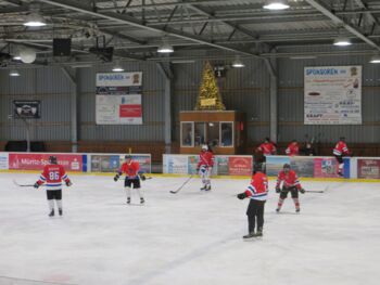 Eishockeyteam Flamingos Wolfsburg