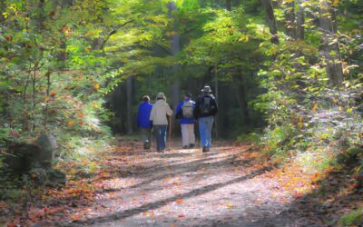 Wanderstrecken in Waren (Müritz) Mecklenburgische Seenplatte