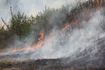 Waldbrandgefahr steigt