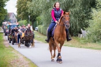 Veranstaltungen in Möllenhagen