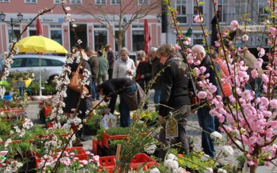 Veranstaltungen Waren (Müritz)