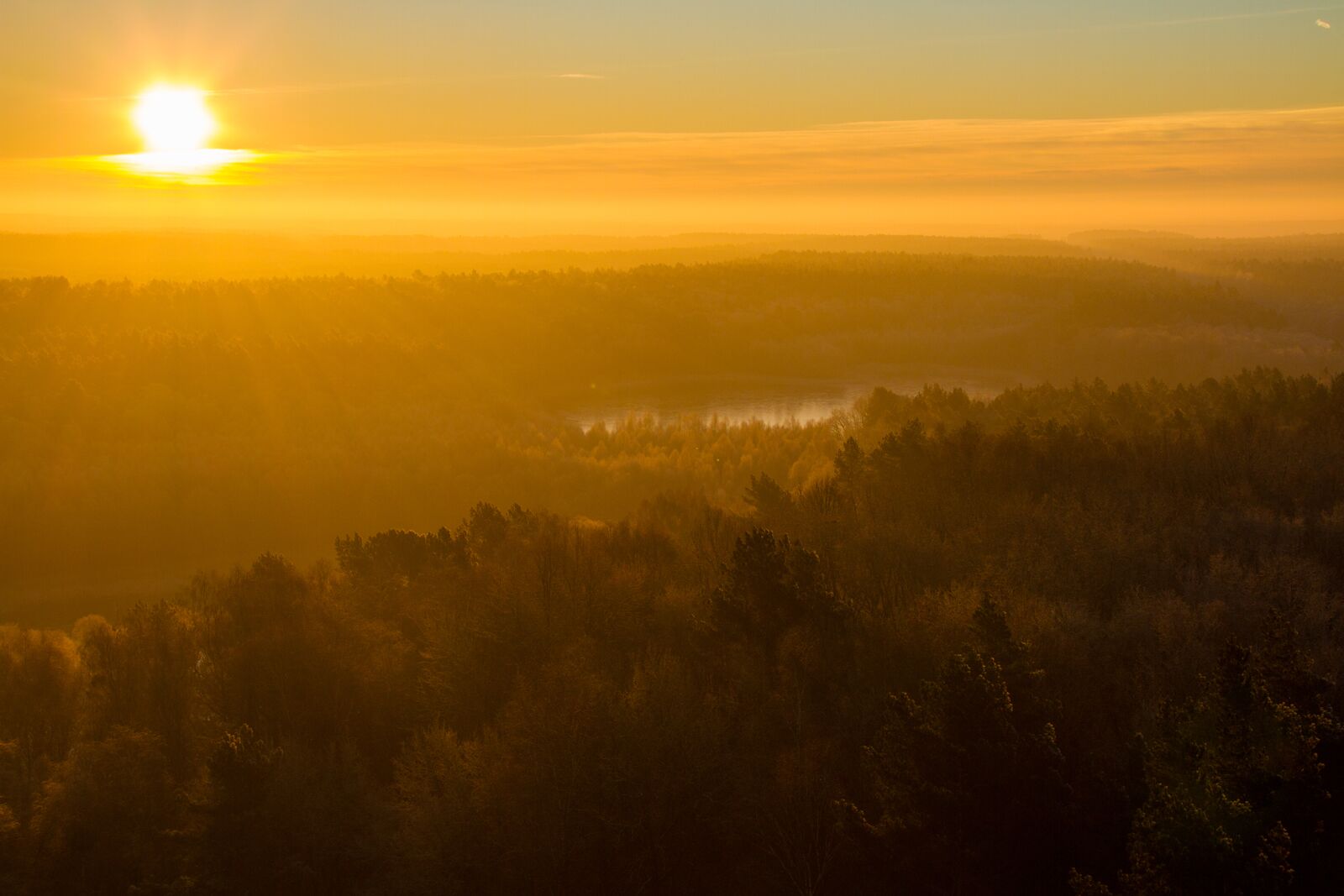 Müritz-Nationalpark beliebtesten Reiseziele in Deutschland