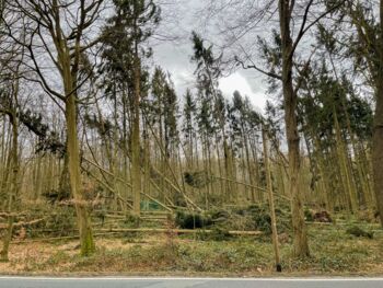 Orkanstürme in Mecklenburg-Vorpommern