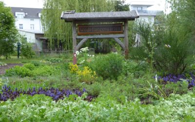 Pflanzentauschbörse Herrenseebrücke Tiefwarensee