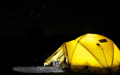 Penzlin entwickelt „Seeweide Naturcamping“