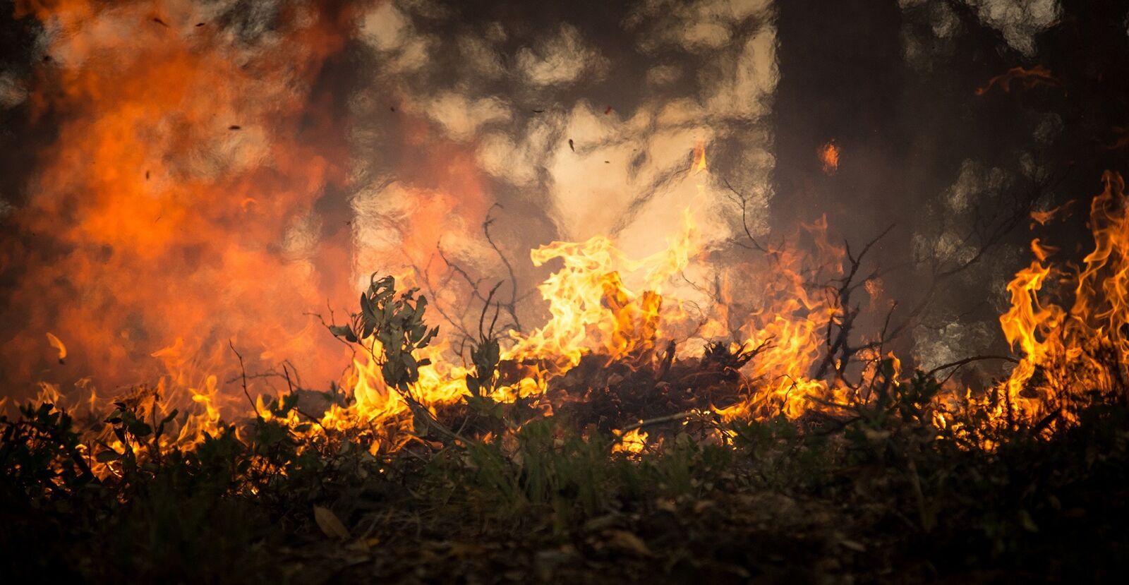 Waldbrandwarnstufe Mecklenburgische Seenplatte