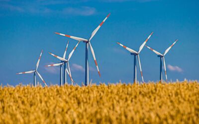 Windkrafträder Mecklenburg-Vorpommern