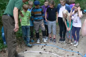 Peeneschule siegt bei Waldolympiade