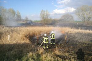 Einsatz Freiwillige Feuerwehr Waren (Müritz)