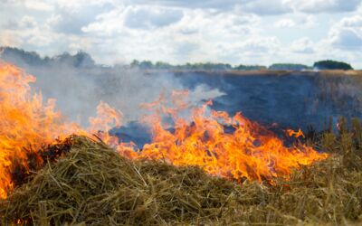 Erntebrand Feuerwehreinsatz Groß Gievitz