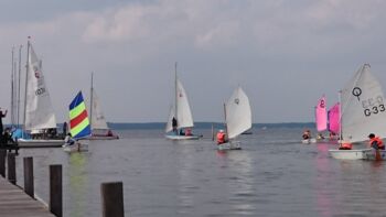 Segel lernen in Mecklenburg