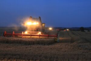 Unterstützung Landwirtschaft Mecklenburg-Vorpommern