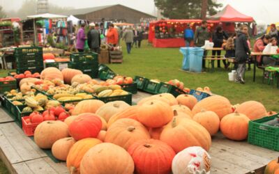 Kürbisfest Agroneum Alt Schwerin