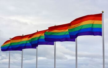 Pride Flag MV Amtsgebäuden