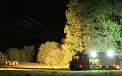 Feuerwehreinsatz: Ast fällt in Stromleitung