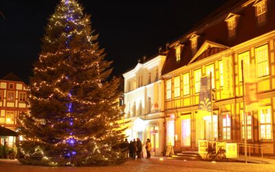 Weihnachtsbaum für Waren (Müritz)