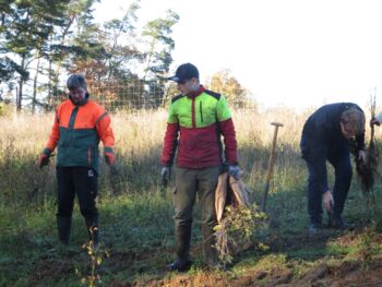 Pflanzaktion im Klimawald Malchow