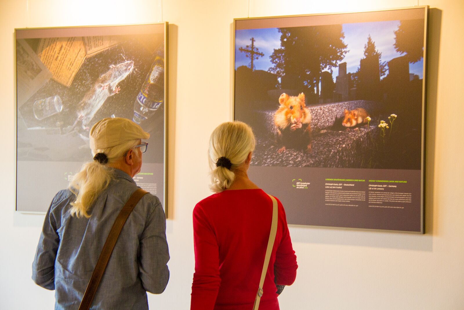 Fotoausstellung Feldsteinscheune Bollewick