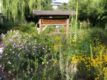 Kultur im Warener Wildpflanzengarten