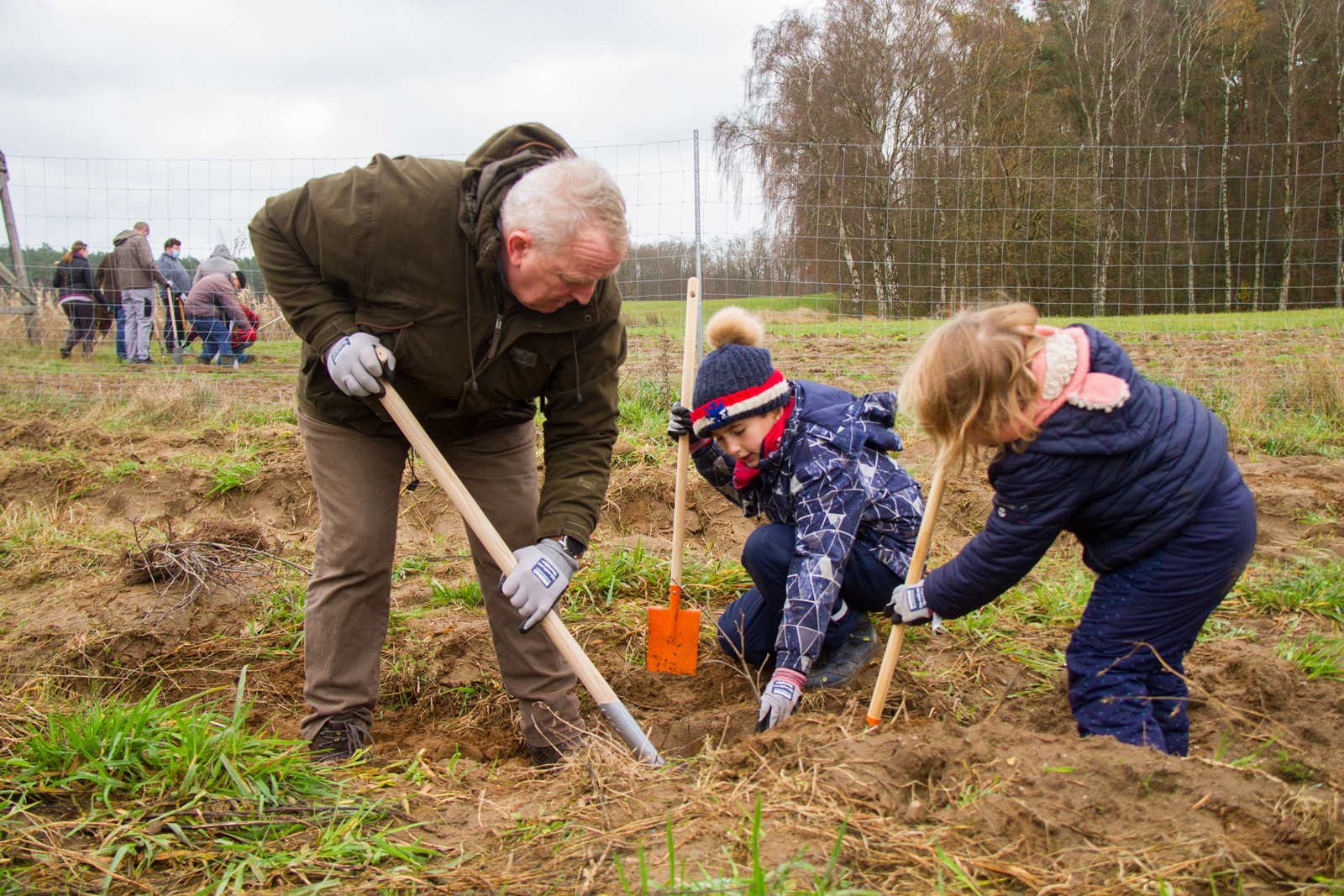 Klimawald „Fleesensee“ WEMAG-Baumpflanzaktion